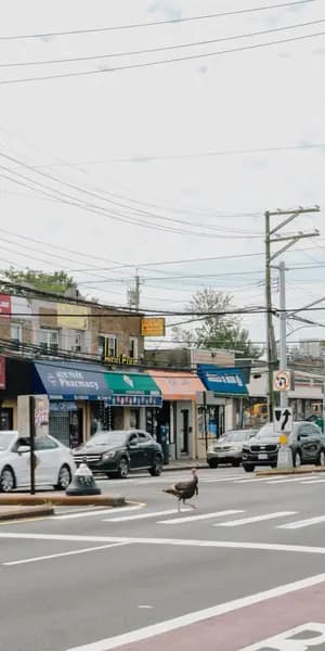 THNX Cleaning Services in Dongan Hills, Staten Island