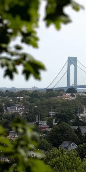 THNX Cleaning Services in Emerson Hill, Staten Island