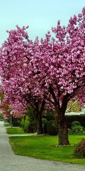 THNX Cleaning Services in Huguenot, Staten Island