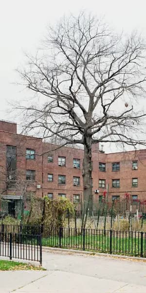 THNX Cleaning Services in Mariners Harbor, Staten Island