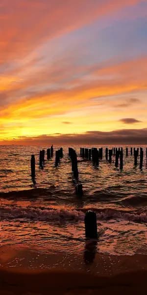 THNX Cleaning Services in New Dorp Beach, Staten Island