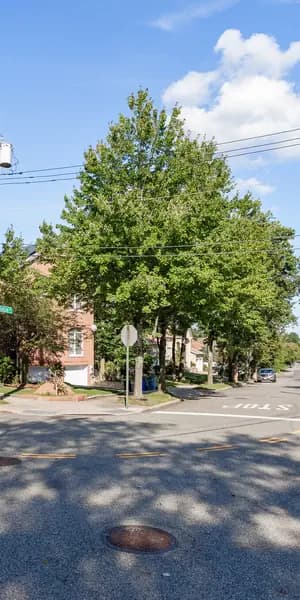 THNX Cleaning Services in Pleasant Plains, Staten Island