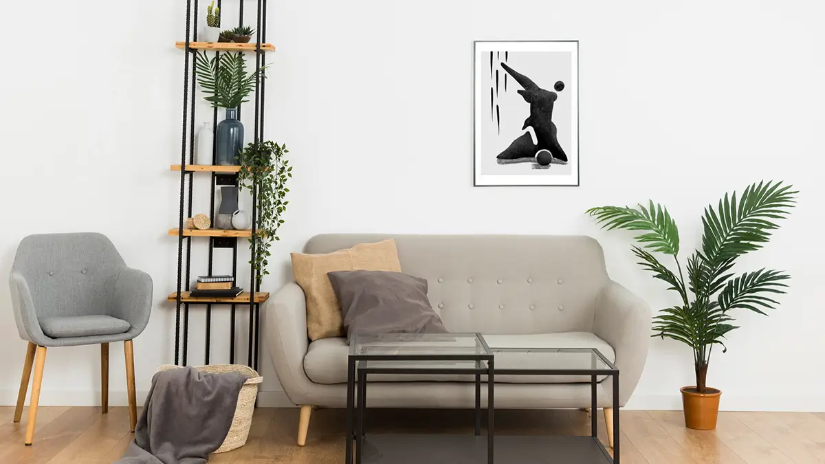 Living Room Cleaning