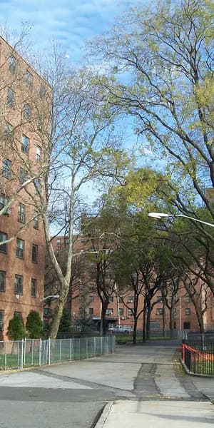 THNX Cleaning Services in West Brighton, Staten Island